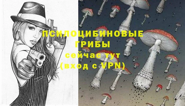 mdpv Волоколамск